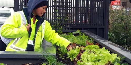 grounds_care_staff_498x325 grounds_care_staff_498x325
