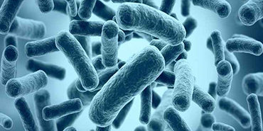 bacteria_thumb