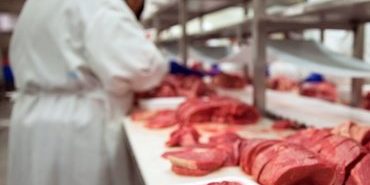 Meat processing Meat processing
