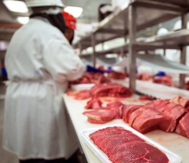 Meat processing Meat processing