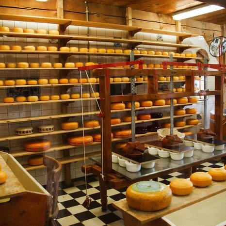 hygiene standards for commercial cheese premisees