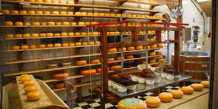 hygiene standards for commercial cheese premisees