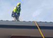 Roof cleaning