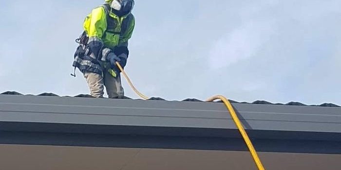 Roof cleaning