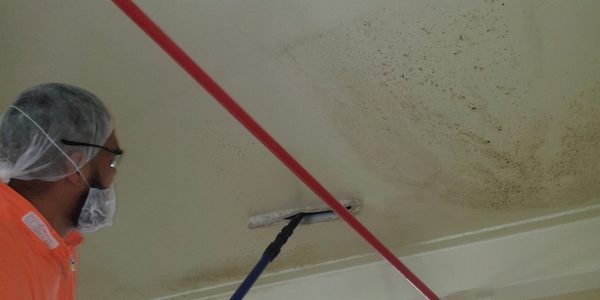 Fonterra Kauri – hand cleaning ceilings